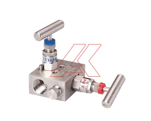 2 Valve Manifold Coplanar