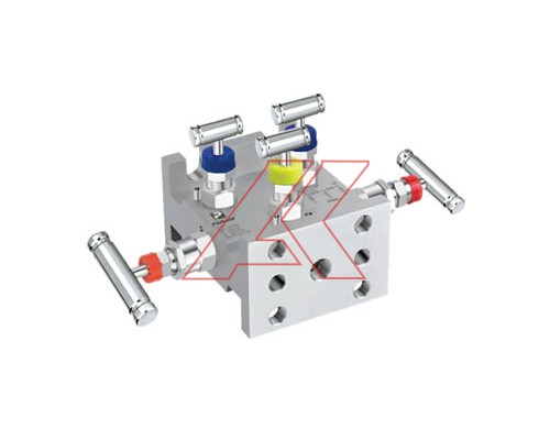 5 Valve Manifold Pipe To Flange (Model No - 5VM-TT-FF) Tee Type