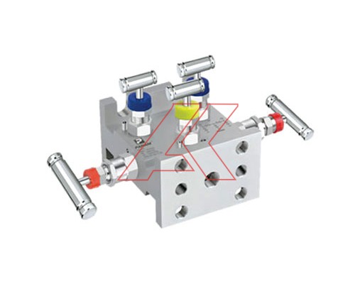 5 Valve Manifold Flange To Flange (Model No - 5VM-HT-FF) H Type